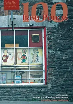 100 Irish Polkas CD – Dave Mallinson