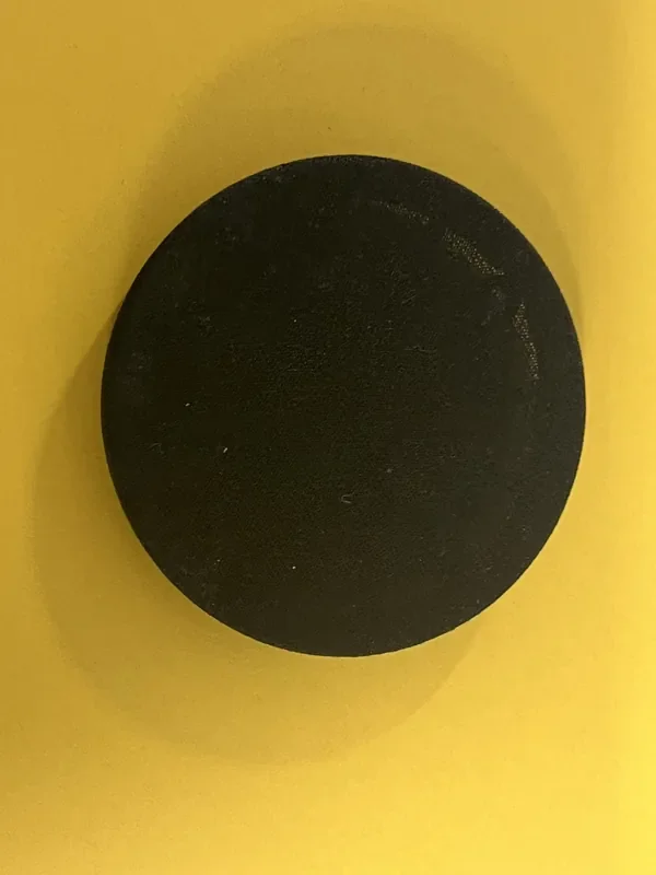 10412019 Small speaker grille for Casio CTK6200