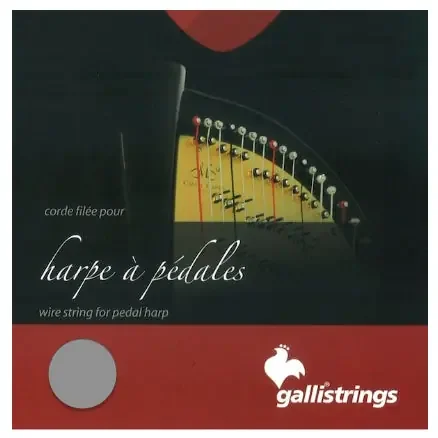 7th Octave D – Bass Wire Pedal Harp String by Galli Strings – CAM6FGA44