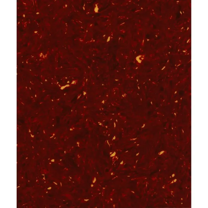 Acoustic Guitar Self Adhesive Blank Red Tortoiseshell 200mm x 170mm