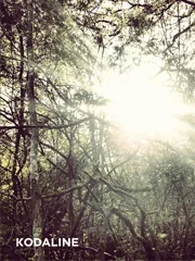 All I Want – Guitar, Piano, Voice – Faber Digital