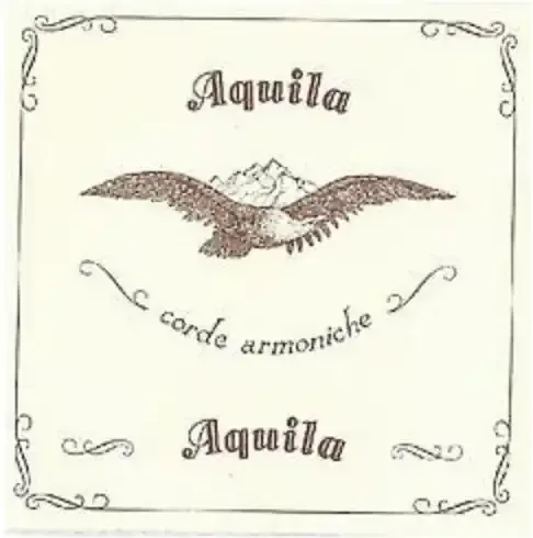 Aquila 185D Wound Lute String