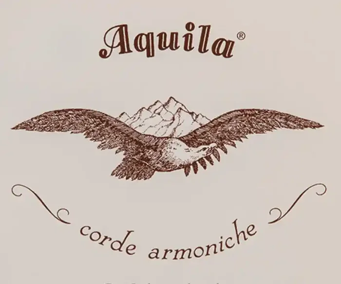 Aquila Afghan Rabab Sugar String Set – synthetic strings