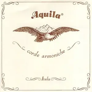 Aquila Baroque Cello 2nd/D Gut String