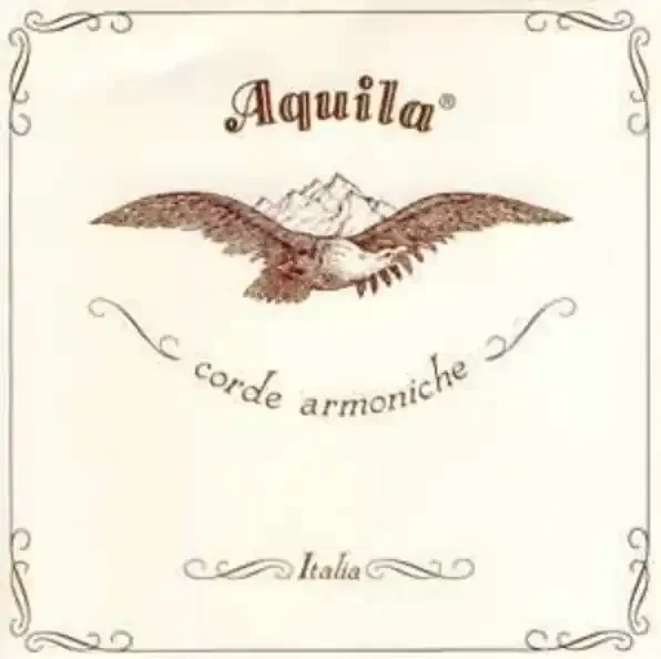Aquila Theorbo 128NGE Nylgut Elastic Lute String x 195cm long