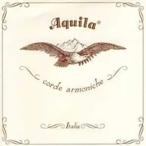 Aquila Theorbo 79NGE Nylgut Elastic Lute String x 180cm long