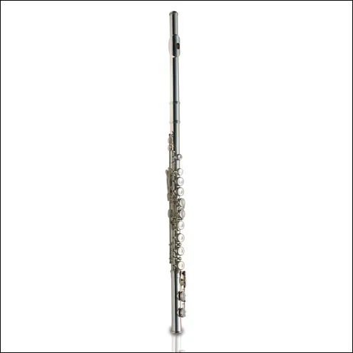 Ashton Flute Student Silverplated Outfit Fl10