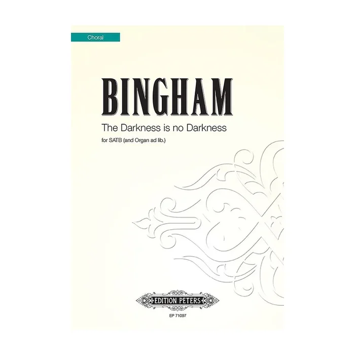 Bingham, Judith – The Darkness is no Darkness