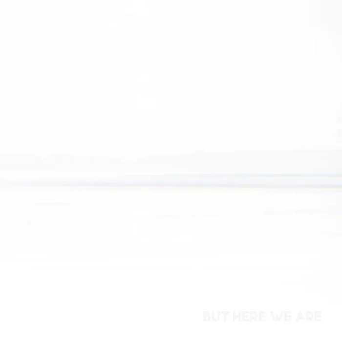 But Here We Are – Foo Fighters (Vinyl) (ON)