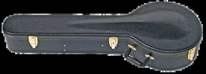 CNB V-CASE Shaped Banjo Case with Black Vinyl and Orange Stitching