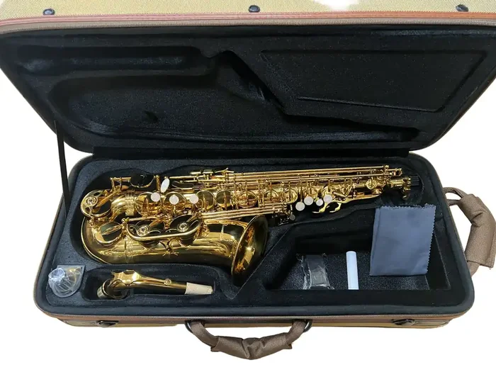 Concordia CAS-25 Alto Saxophone Outfit