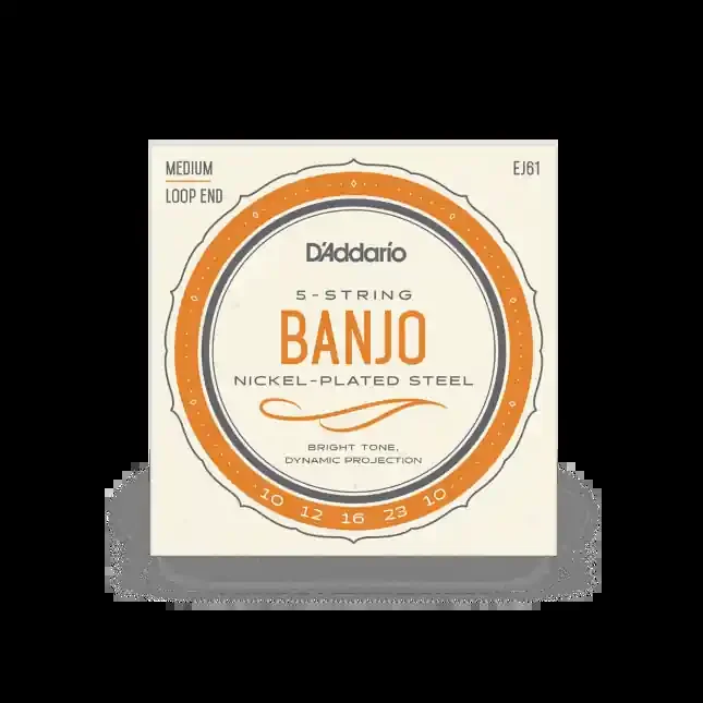 D‘Addario Banjo Strings, Medium, Loop End