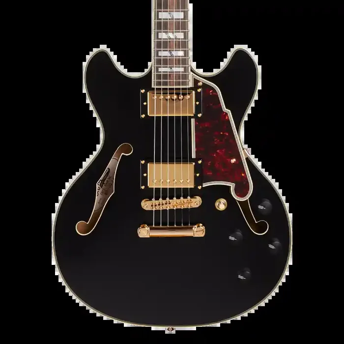 D‘Angelico, Excel Mini DC, Black