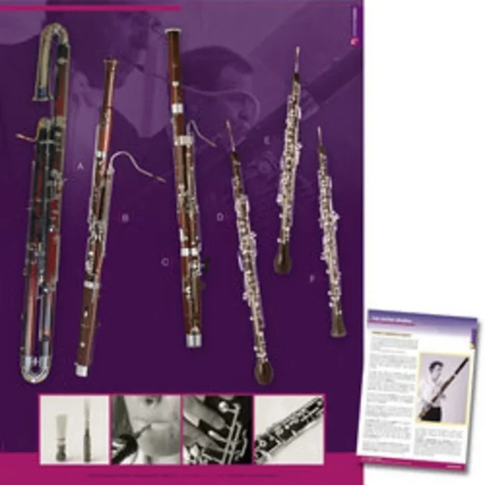 Double Reeds Poster 45 x 60 cm With Booklet