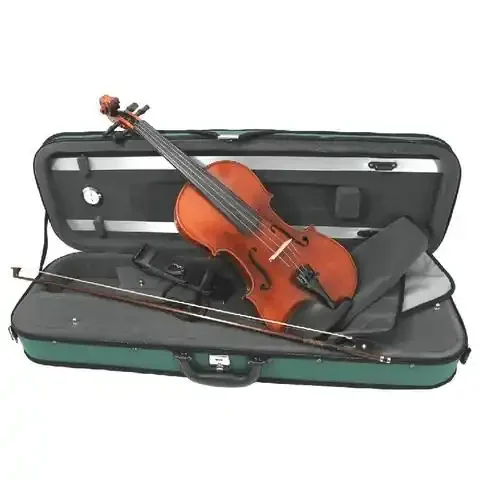 Eastman Westbury Violin Outfit