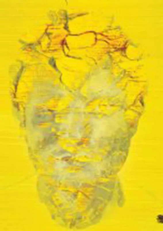 Ed Sheeran : Ed Sheeran : Stoned – Guitar, Piano, Voice – Faber Digital