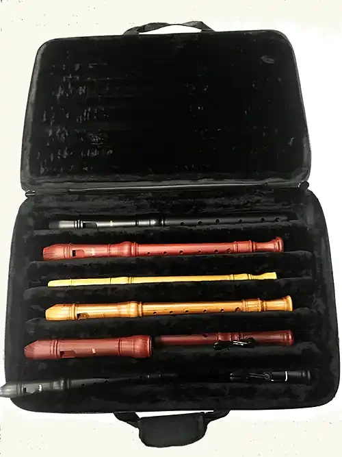 EMS HD10RH 6 Horizontal Slot Recorder Case With Sheet Music Compartment