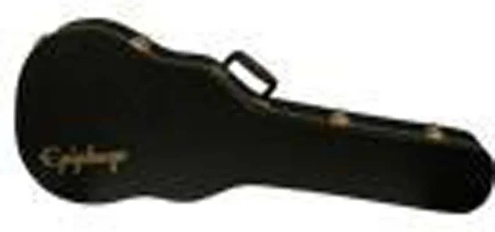 Epiphone Flamekat Wildkat Case