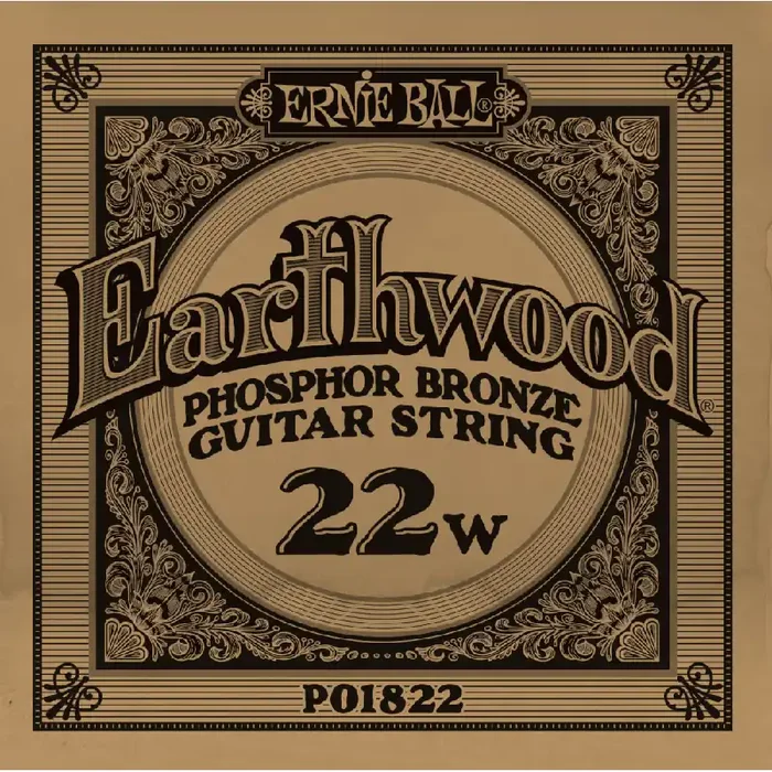 Ernie Ball Slinky Phosphor Bronze .022w Acoustic Guitar Single String