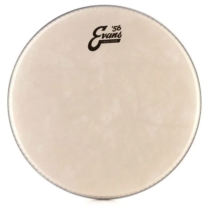 Evans 56 Calftone Drum head 13″