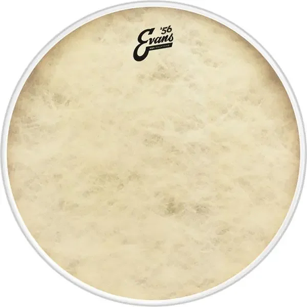 Evans Calftone Bass Drum head 20″