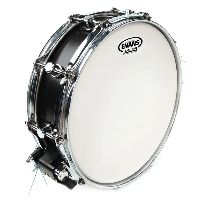Evans Power Center Reverse Dot Drum Head, 13 Inch *SKIN ONLY*