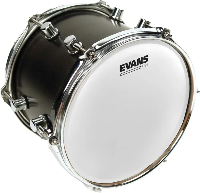 Evans UV1 Coated Drum Head, 12 Inch *SKIN ONLY*