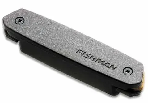 Fishman Pickups neo d fishman rare earth