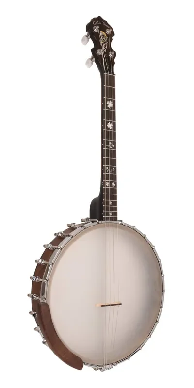 Gold Tone IT-17 Irish Tenor Banjo with 17 Frets and Gig Bag
