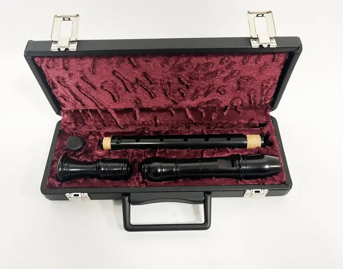 Hard Case for Alto Recorder by Early Music Shop