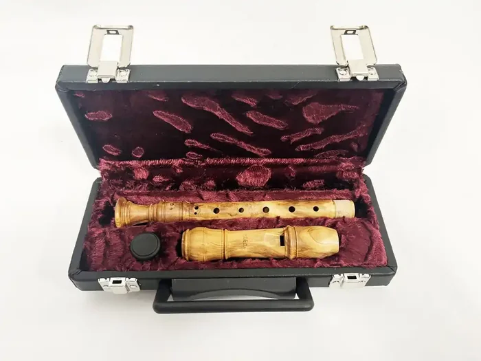 Hard Case for Soprano Recorder by Early Music Shop