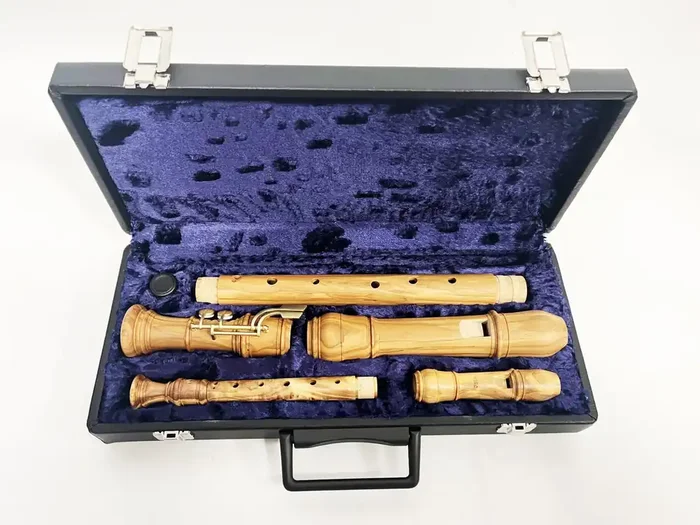 Hard Case for Soprano/Tenor Recorders by Early Music Shop