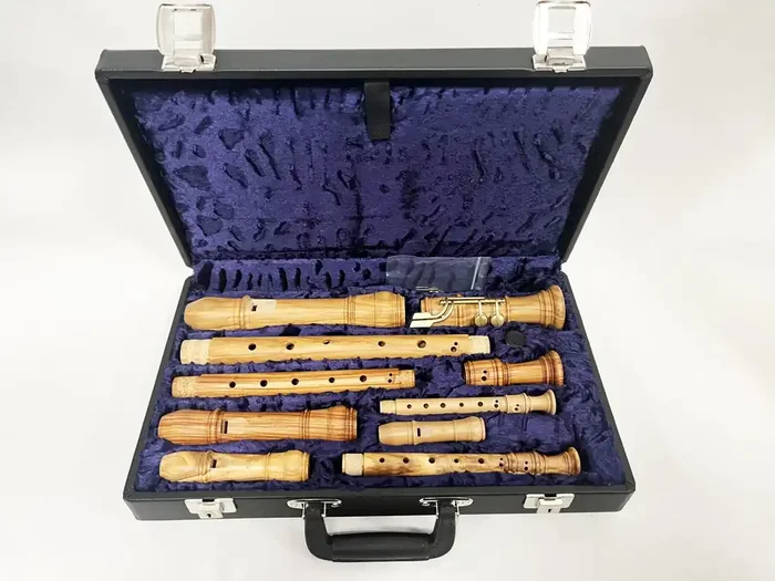 Hard Case for SSAT Recorders by Early Music Shop