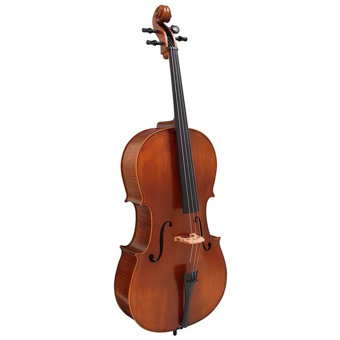 Hidersine Vivente Cello 4/4 Student Outfit – SE