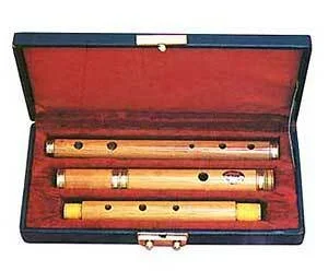 Irish Flute-Cocuswood 4-Part in Case