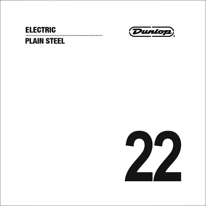 Jim Dunlop DPS22 Plain Steel Electric Guitar String, .022