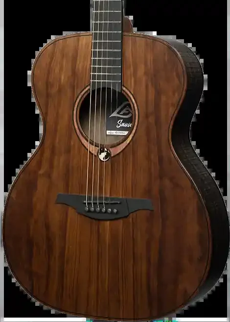 LAG Sauvage Auditorium