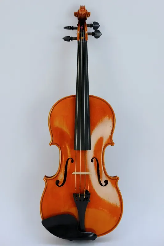 Liuteria Bizzi Violin after ‘Il Cremonese‘ 1715