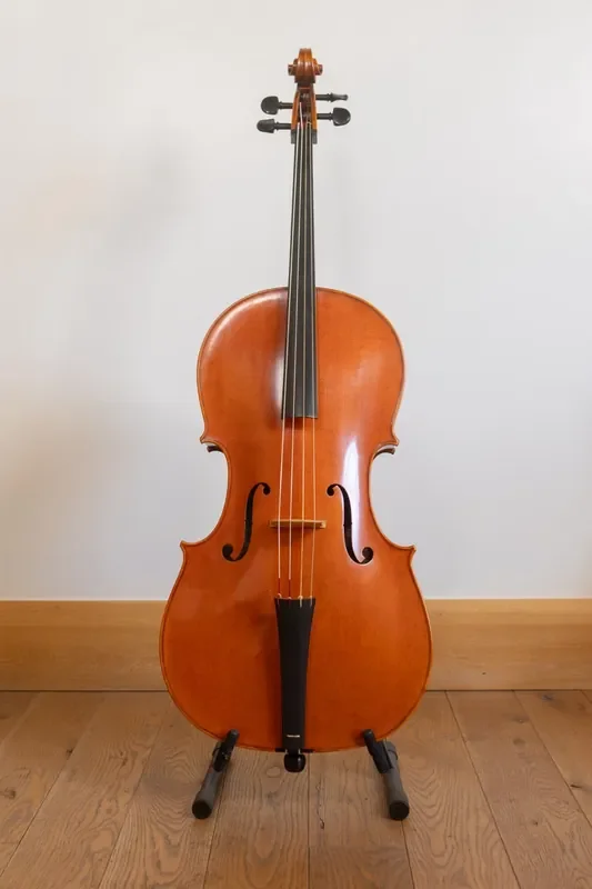 Lu-Mi Baroque Cello after Montagnana “Sleeping Beauty” 1739