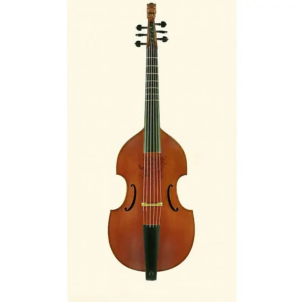Lu-Mi Consort 6-String Bass Viol after Jaye