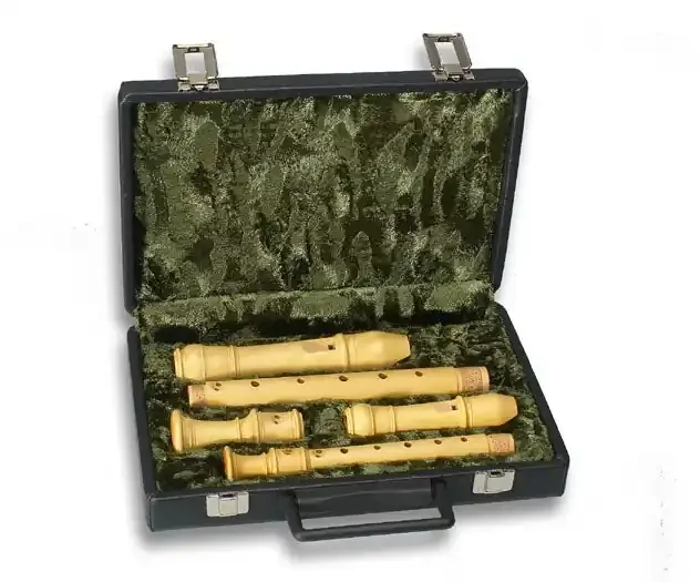 Mollenhauer Case for Soprano/Alto Recorder