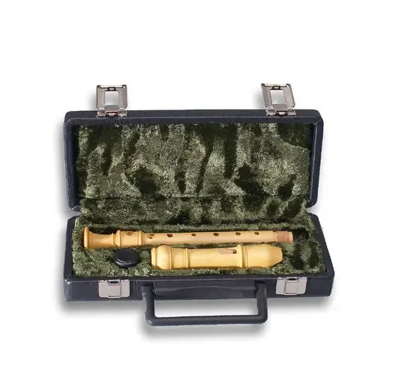 Mollenhauer Case for Soprano Recorder