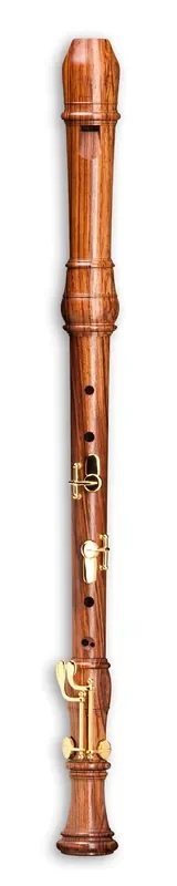 Mollenhauer Denner Comfort Tenor Recorder in Palisander