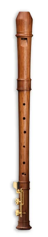 Mollenhauer Modern Alto Recorder in Palisander