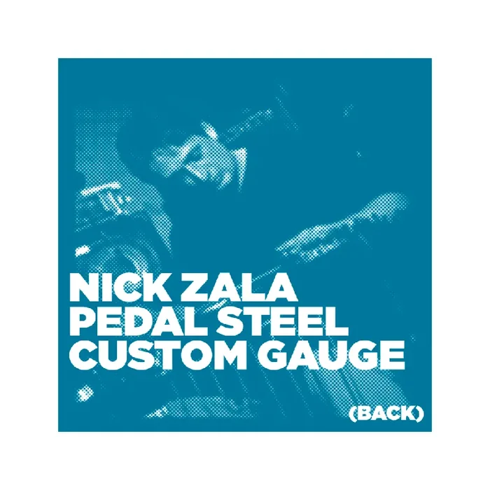 Nick Zala Custom Gauge 12-70 Pedal Steel Strings, C6-Tuning (Back Neck)