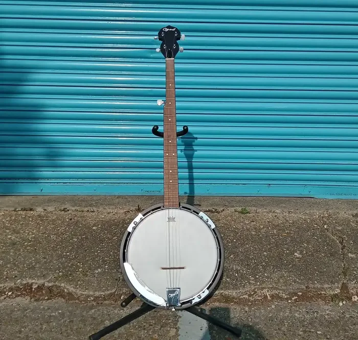 Ozark 5 string Banjo including padded gig bag