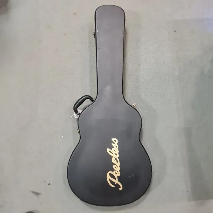 Peerless Bird of Prey Hard Guitar Case (335 Style)