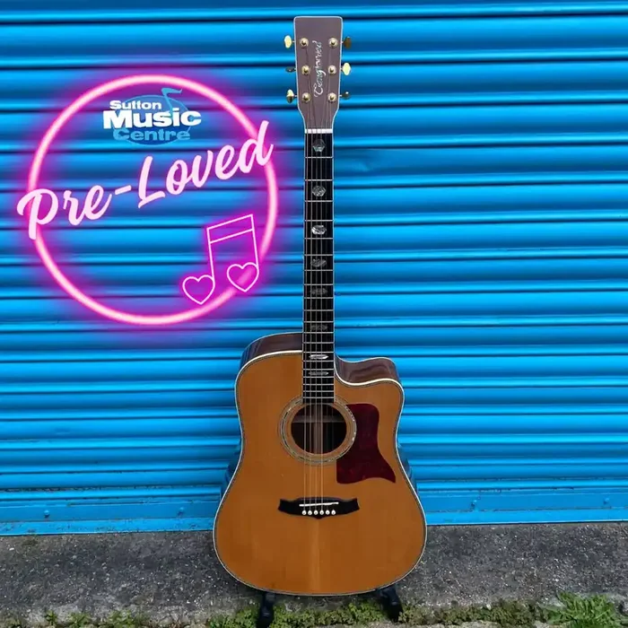 (Pre-Loved) Tanglewood TW1000CE Electro Acoustic Guitar Inc. Hardcase