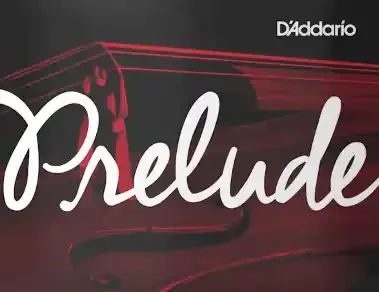Prelude By D‘Addario (J1011 4/4M) 4/4 Cello A String