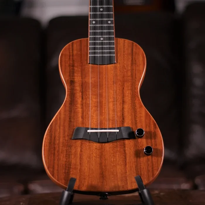 Snail SEU-1C Elec Concert Uke